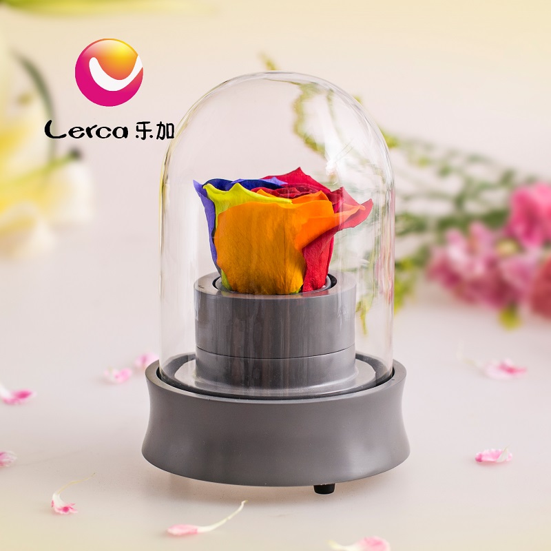 Preserved Flower Colorful Rose Musical Boxes